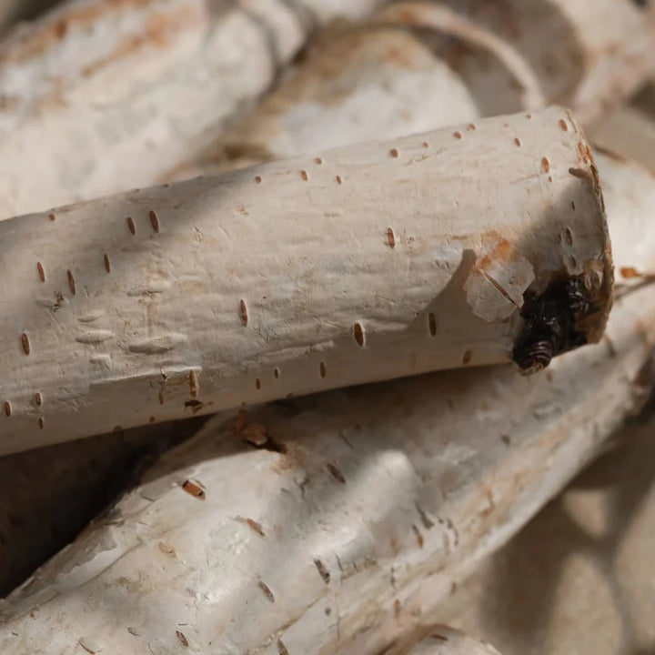 Pura | Fragrance Insert for Car Diffuser Device | Ivory Woods - Giddy Up Glamour Boutique