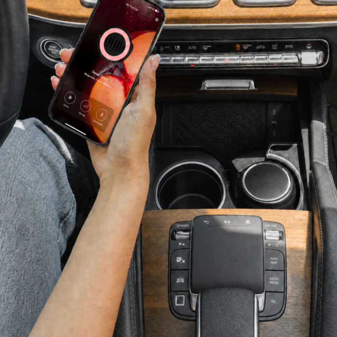 Bridgewater Candle Company | Pura Pro Car Diffuser Set | Sweet Grace