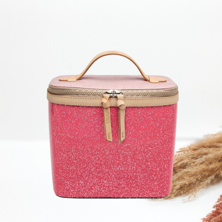 Consuela | Bae Slim Train Case