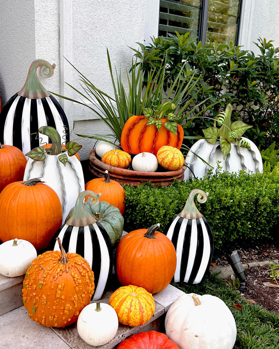 Yard Size Tall Striped Pumpkin by The Round Top Collection styled outdoors with black and white striped pumpkins, orange pumpkins, white pumpkins and fall greenery.