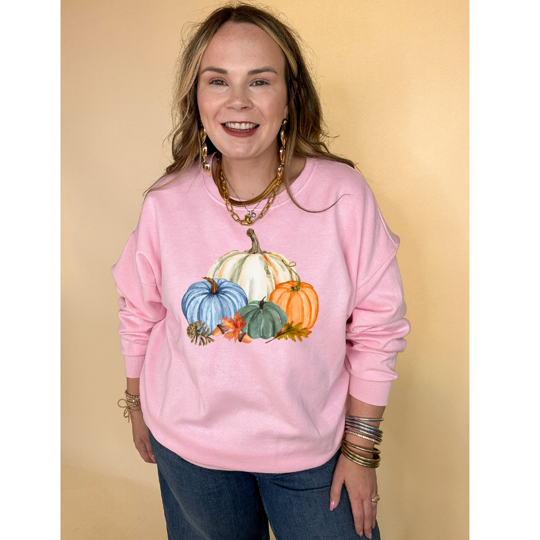 Online Exclusive | Country Pumpkin Arrangement of Four Colored Pumpkins Graphic Sweatshirt in Multiple Color Options