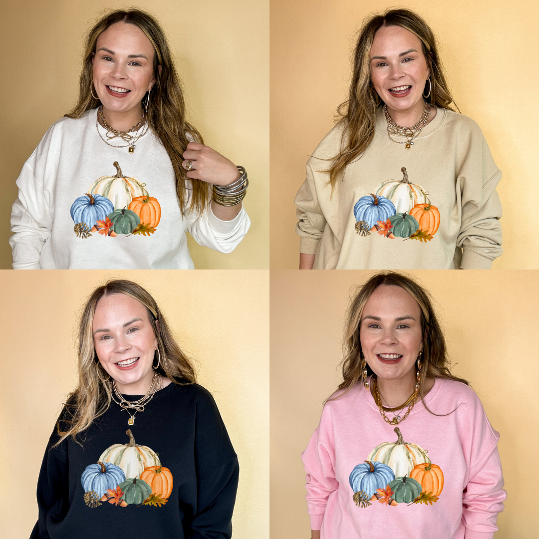 Online Exclusive | Country Pumpkin Arrangement of Four Colored Pumpkins Graphic Sweatshirt in Multiple Color Options