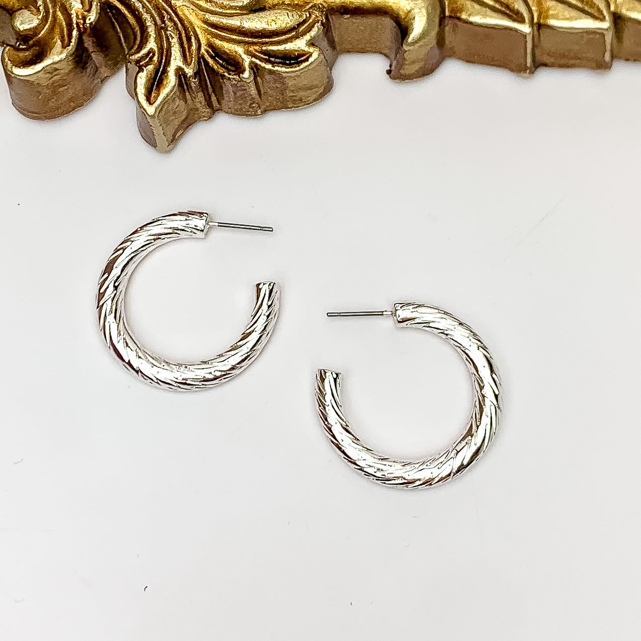 Silver Tone Small Twisted Hoop Earrings - Giddy Up Glamour Boutique