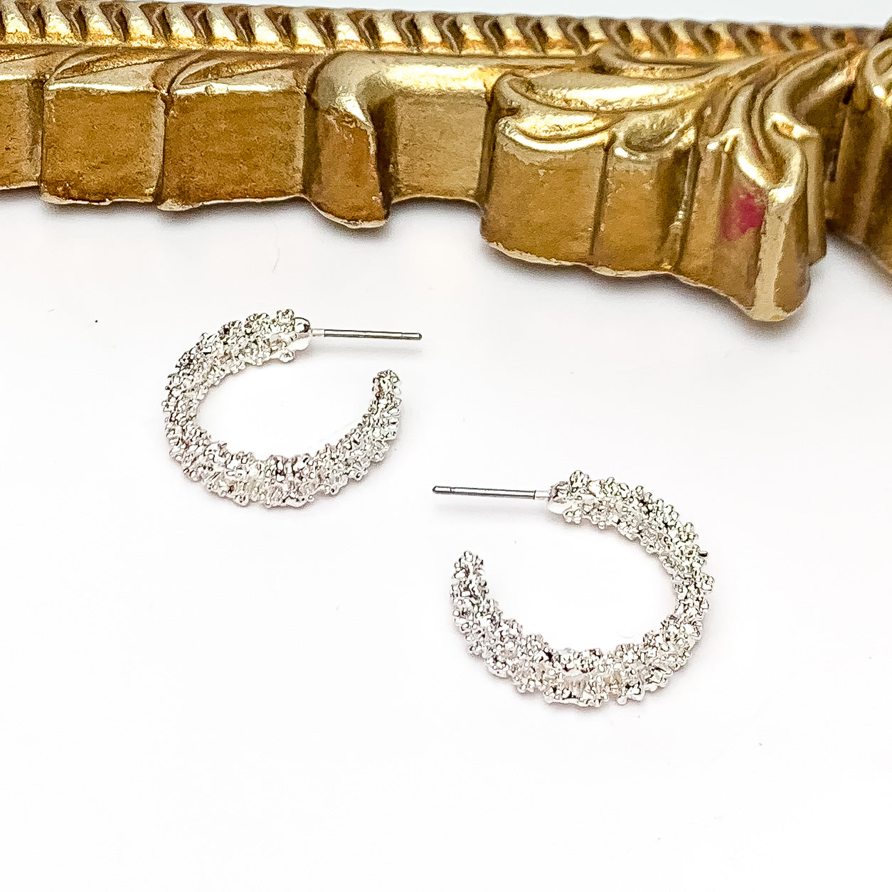 Worry Free Small Silver Tone Textured Hoop Earrings. Pictured on a white background with a gold frame above the earrings.