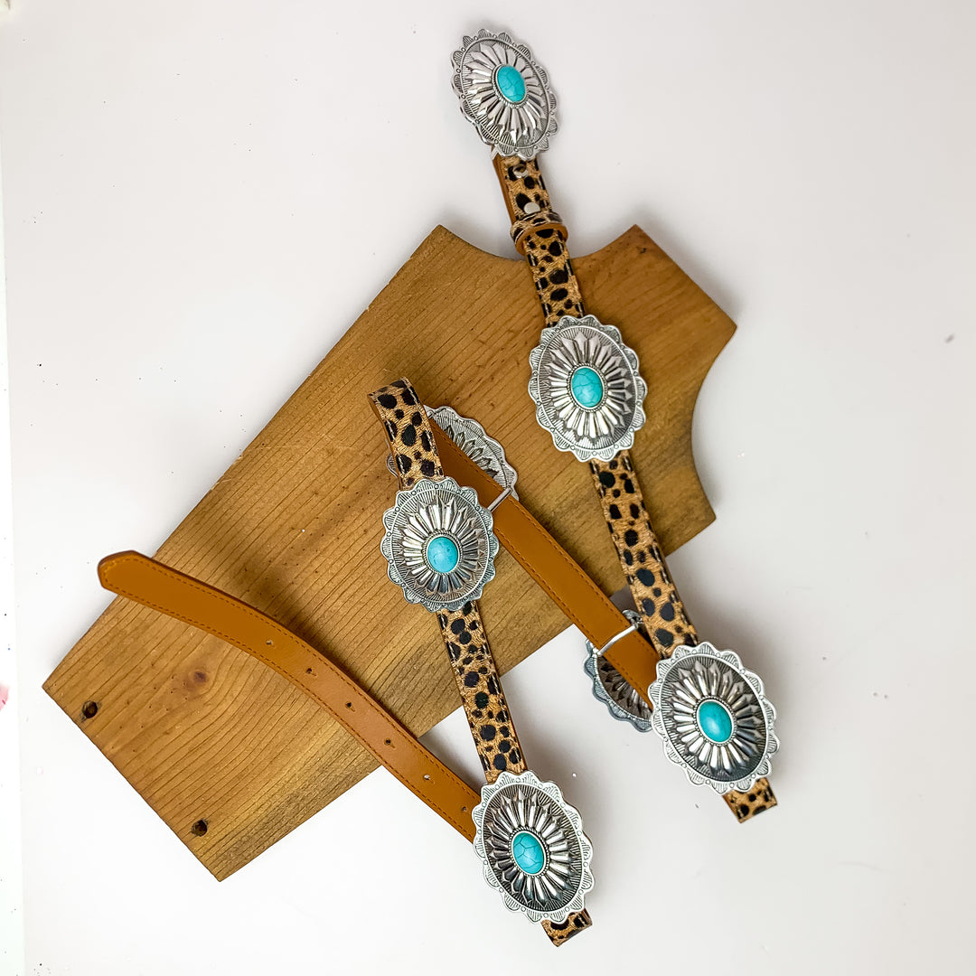 Cowgirl Casanova Concho Belt in Leopard Print With a Turquoise Stone. Pictured on a white background with the belt on a piece of wood.
