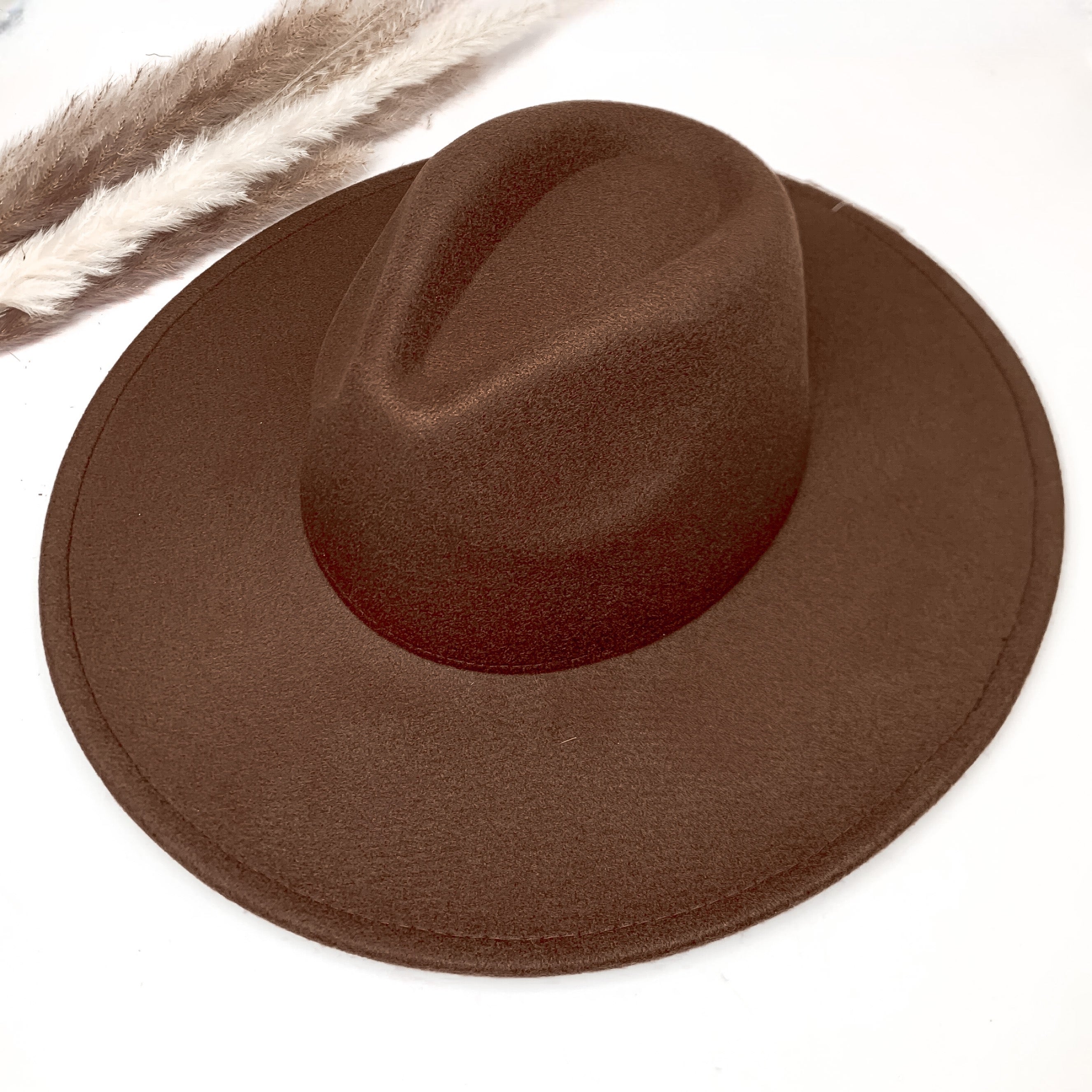 Plain and simple faux felt hat in dark brown color. This hat is sitting on a white background. There is brown and white feathers to the left of the hat.