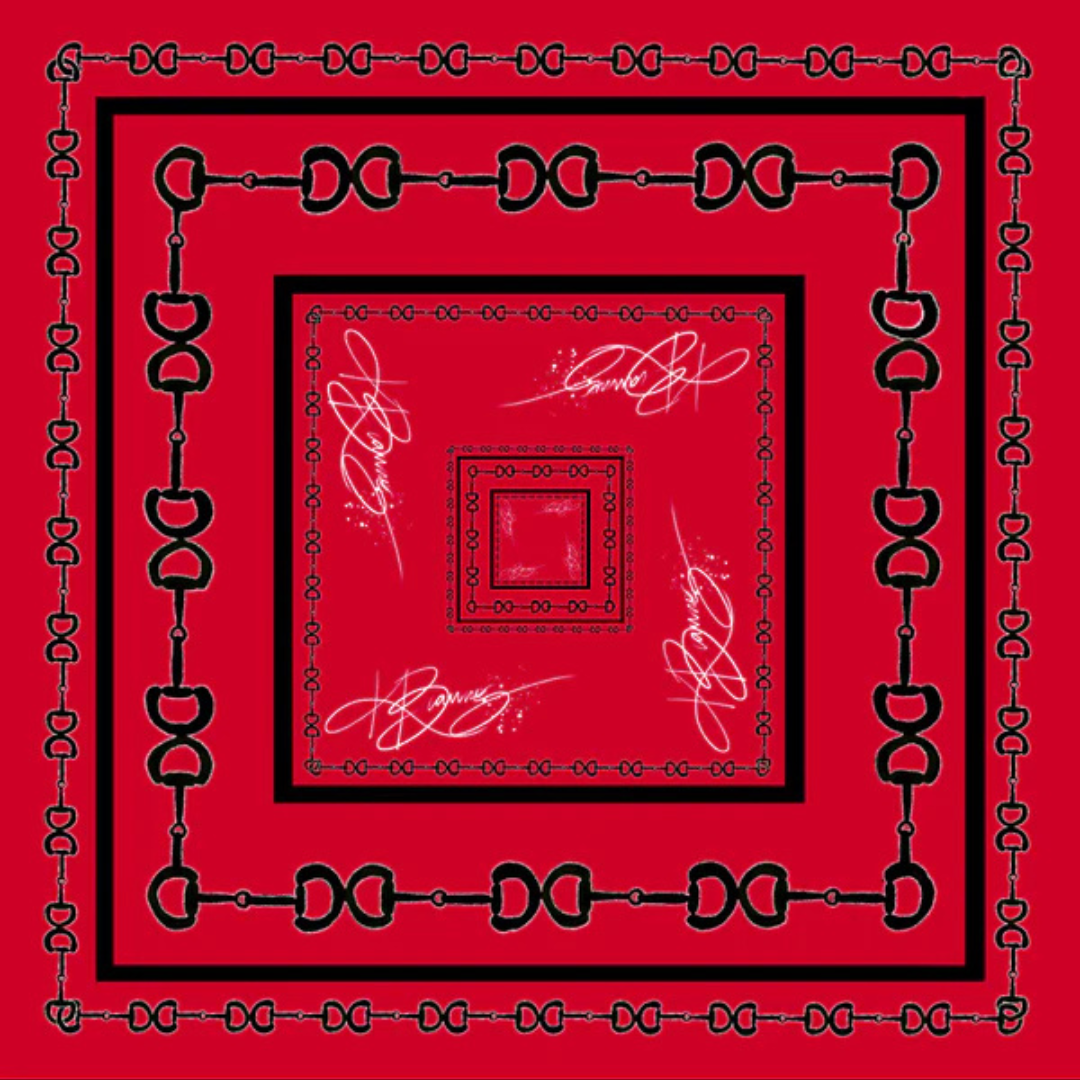 KB's Canvas | In Good Reins Horse Bit Print Scarf in Red and Black