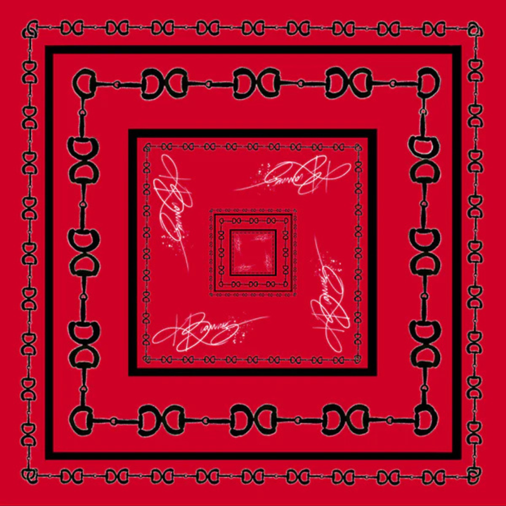 KB's Canvas | In Good Reins Horse Bit Print Scarf in Red and Black