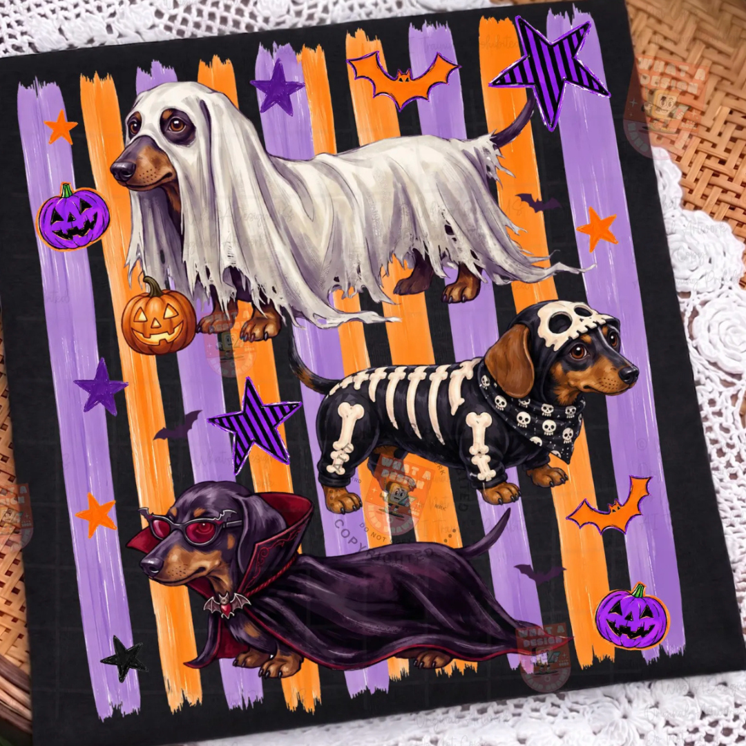 Black graphic tee featuring three dachshunds dressed as a ghost, skeleton, and vampire with orange and purple Halloween stripes, pumpkins, bats, and stars.