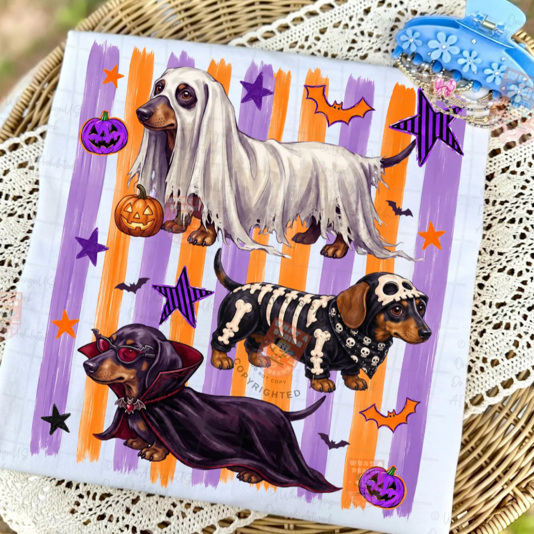 White graphic tee featuring three dachshunds dressed as a ghost, skeleton, and vampire with orange and purple Halloween stripes, pumpkins, bats, and stars.