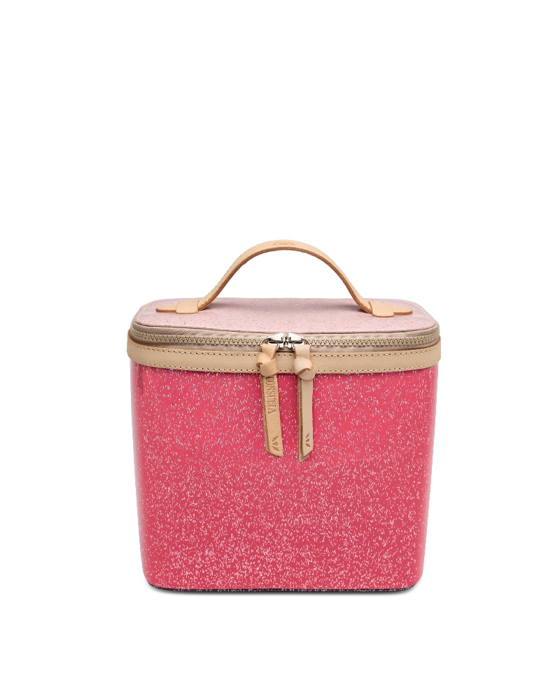 Consuela | Bae Slim Train Case