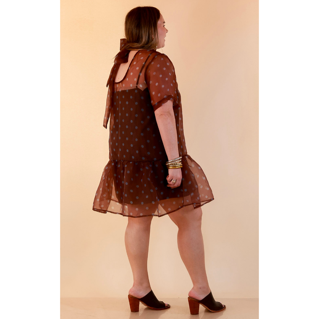 Sheer Delight Polka Dot Organza Ruffle Hem Dress in Chocolate Brown and Blue