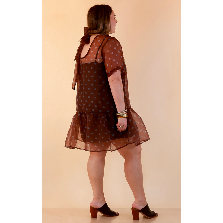 Sheer Delight Polka Dot Organza Ruffle Hem Dress in Chocolate Brown and Blue