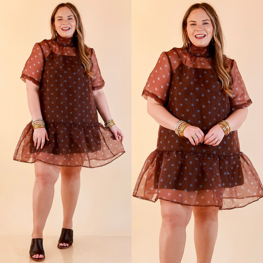 Sheer Delight Polka Dot Organza Ruffle Hem Dress in Chocolate Brown and Blue