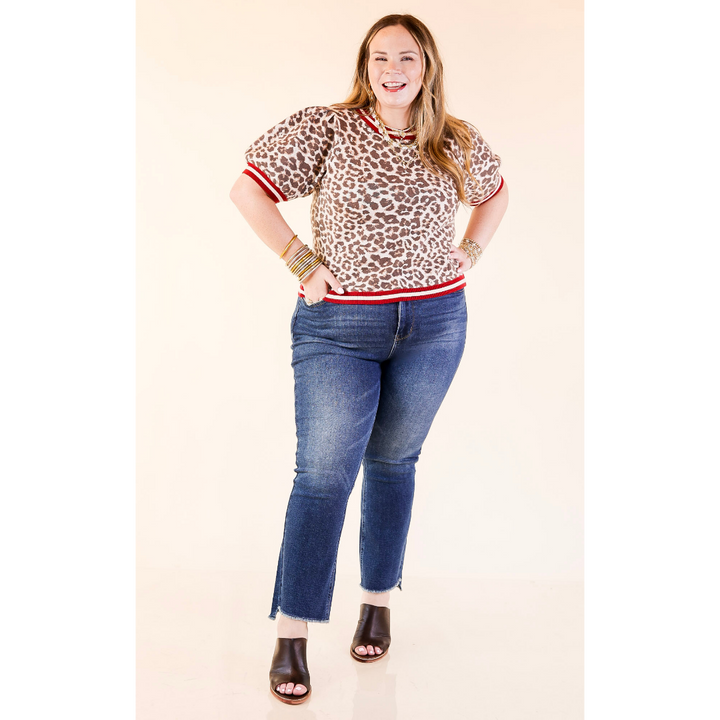 Feline Fine Leopard Print Short Sleeve Sweater with Contrast Trim in Maroon
