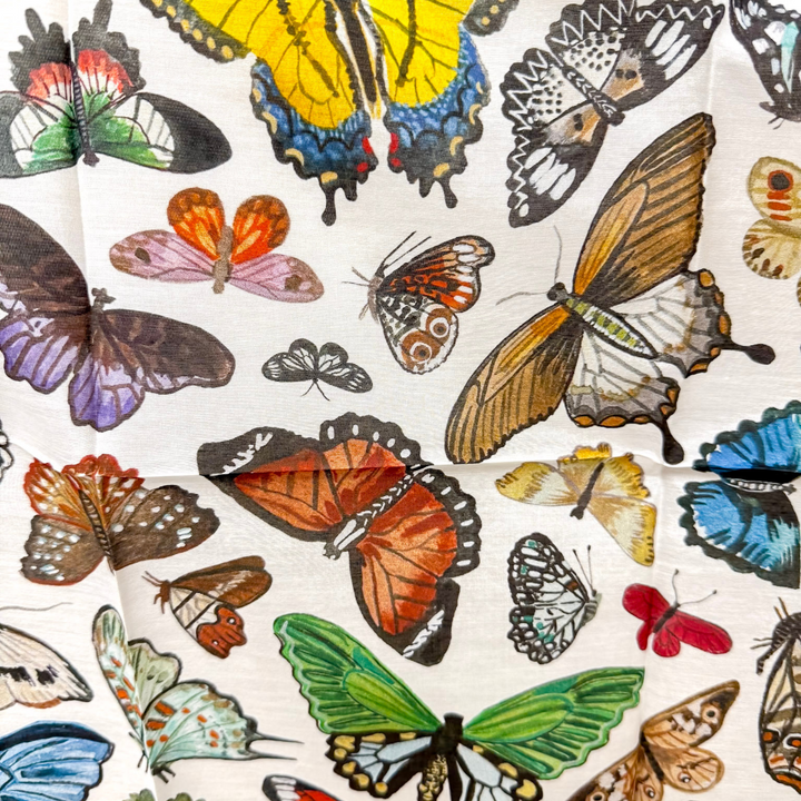 XOXO Art & Co | Butterflies Shorty Wild Rag - Giddy Up Glamour Boutique