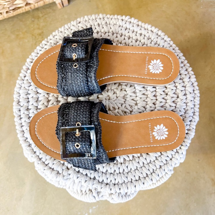 Yellow Box | Hamlyn Raffia Buckle Slide Sandals in Black