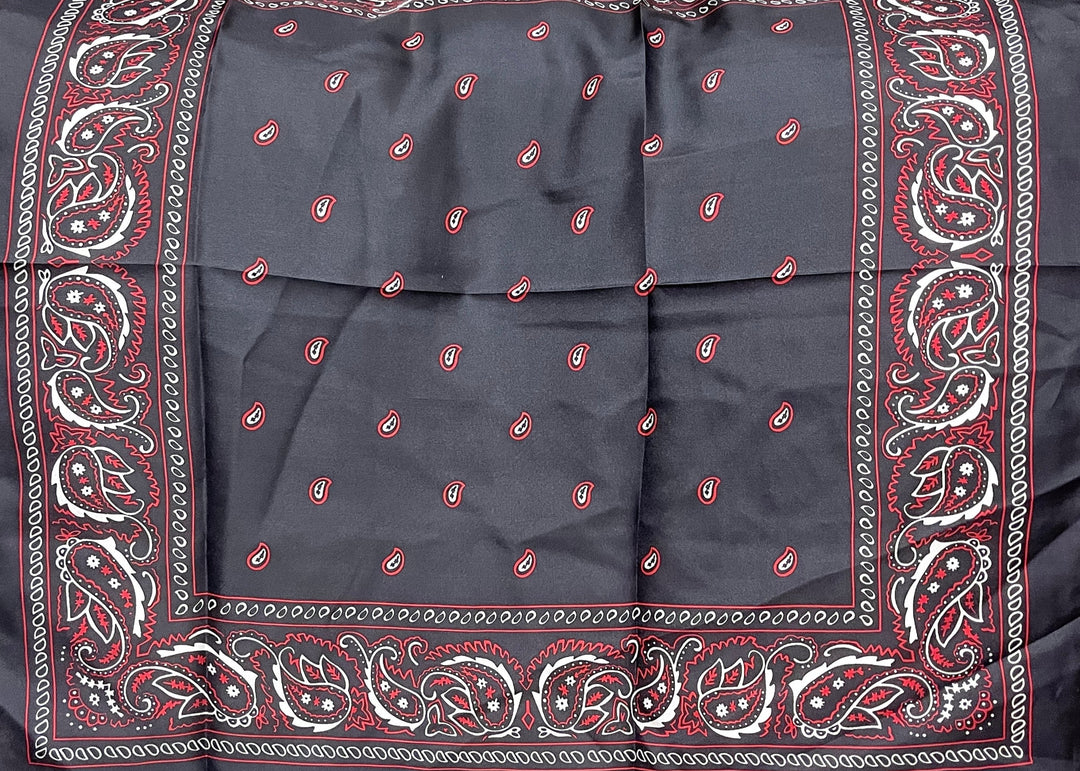 Wyoming Traders | Bandana Silk Wild Rag in Black