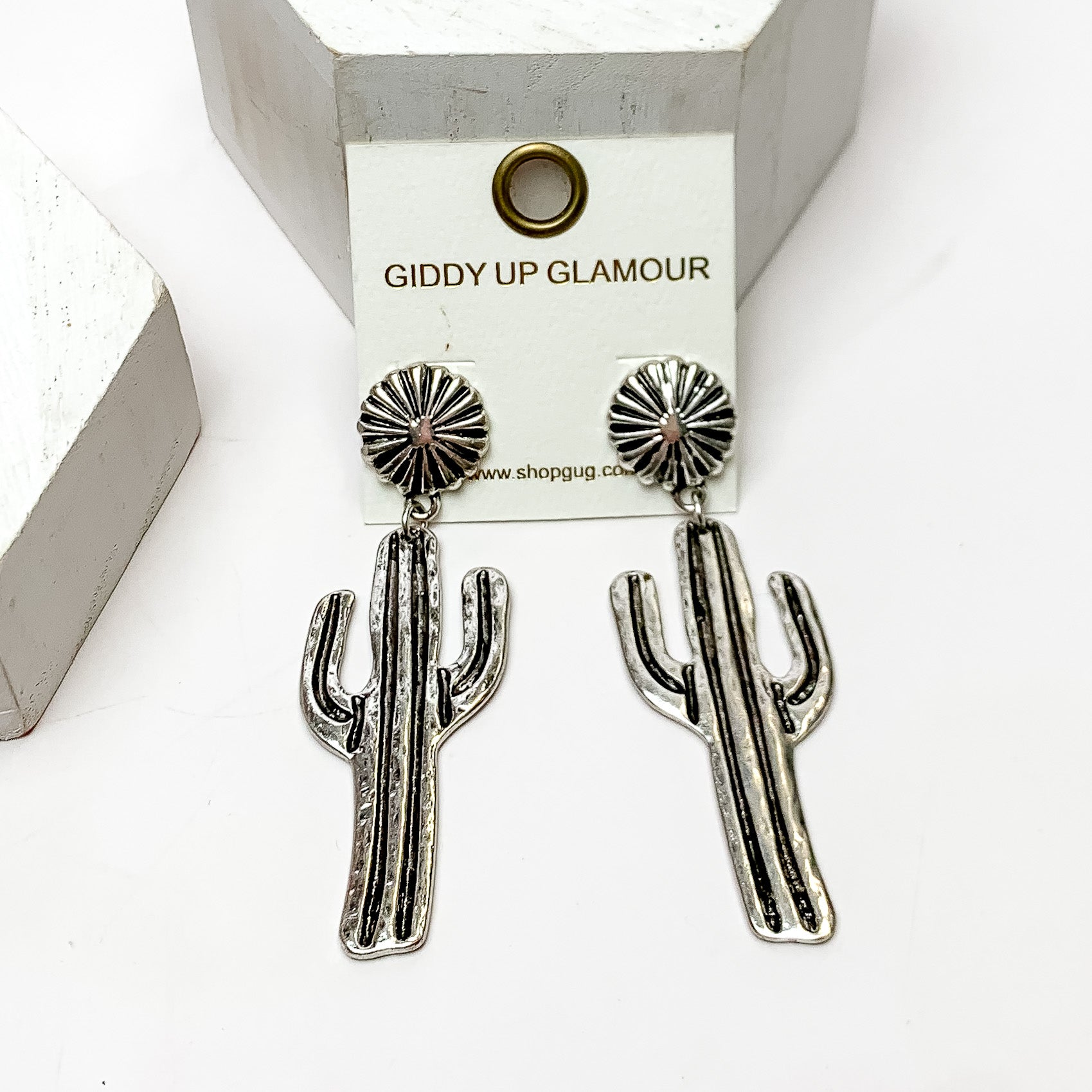 Country cactus silver earrings. These earrings are pictured on a white background with plants behind for decoration.