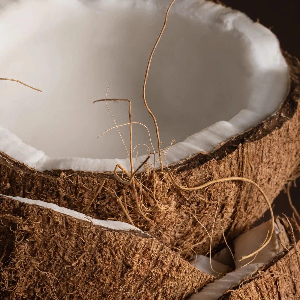 Pura | Fragrance Smart Vial for Smart Home Diffuser | Coconut Sugar