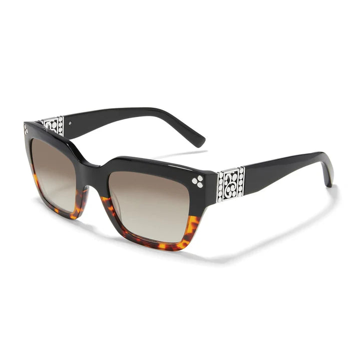 Brighton | Contempo Dot Dual Sunglasses in Tortoise and Black