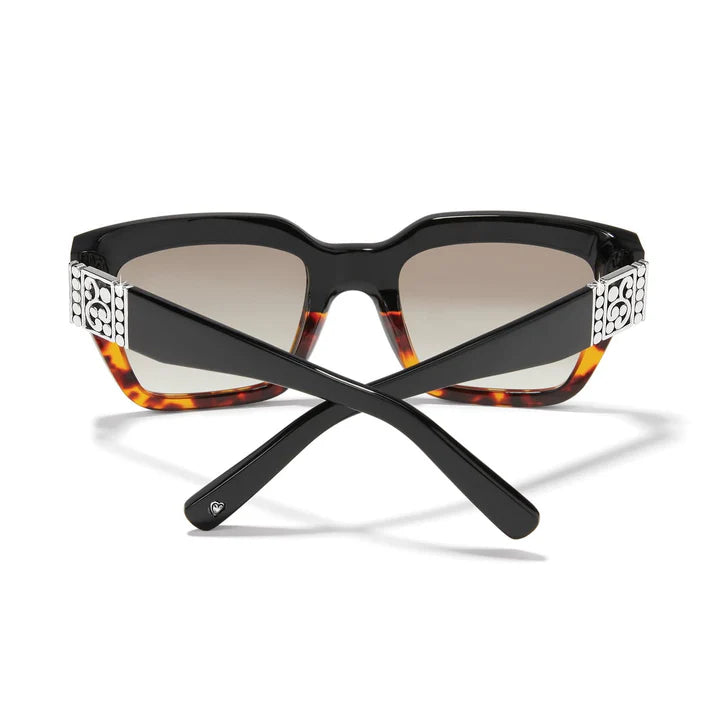 Brighton | Contempo Dot Dual Sunglasses in Tortoise and Black