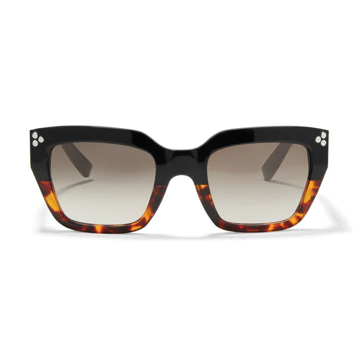 Brighton | Contempo Dot Dual Sunglasses in Tortoise and Black