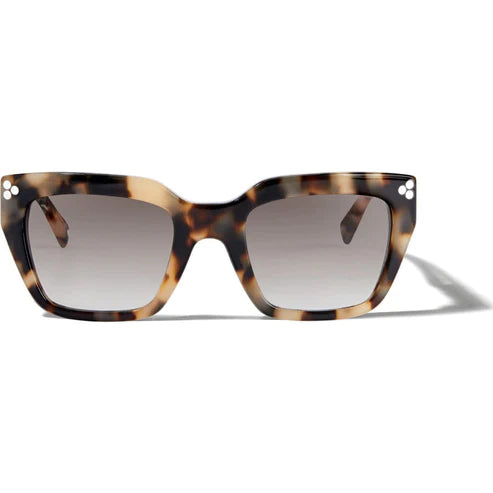 Brighton | Contempo Dot Sunglasses - Giddy Up Glamour Boutique