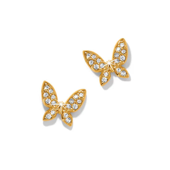 Brighton | Enchanting Butterfly Post Earrings in Gold