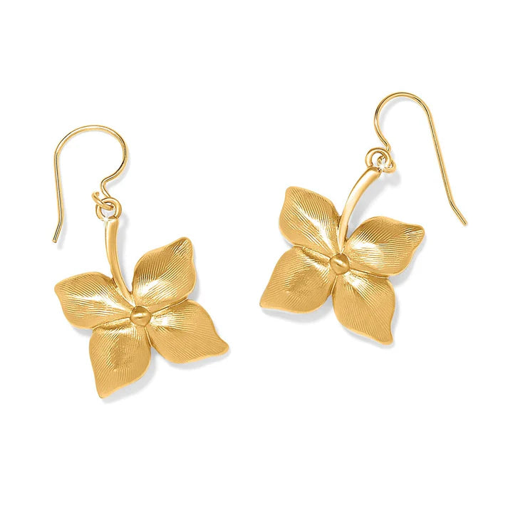 Brighton | Everbloom Flower French Wire Earrings in Gold