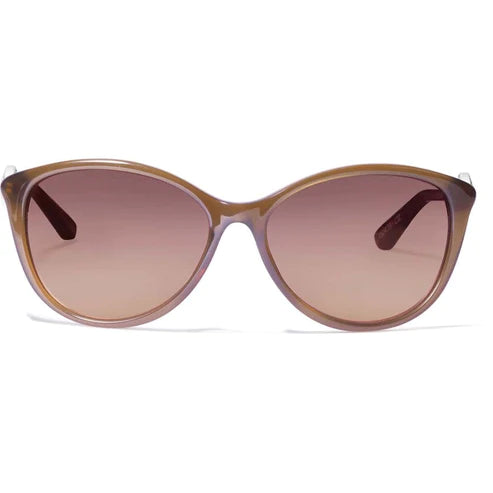 Brighton | Ferrara Sunglasses in Brown - Giddy Up Glamour Boutique