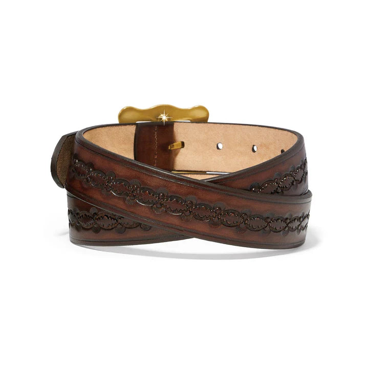 Brighton | Frisco Belt in Brown with Gold Buckle