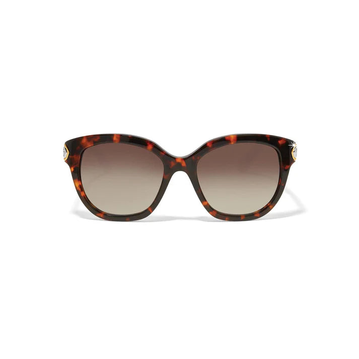 Brighton | Intrigue Amber Tortoise Sunglasses