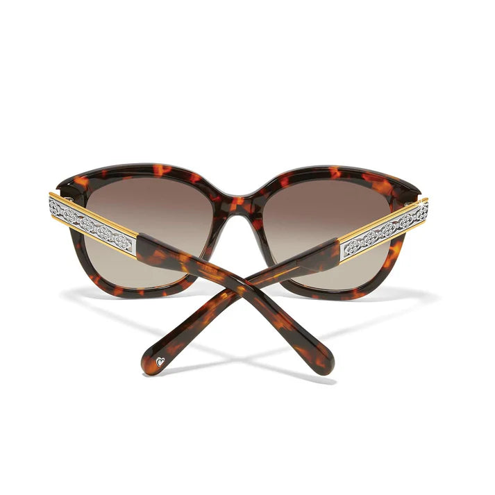 Brighton | Intrigue Amber Tortoise Sunglasses