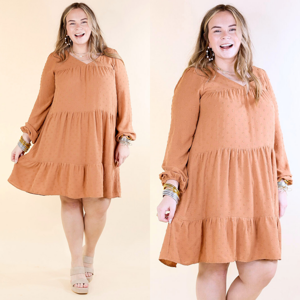 long sleeve swiss dot dress Hey Girl Long Sleeve Swiss Dot Dress in Clay Brown