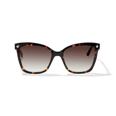 Brighton | Pretty Tough Pierced Stud Sunglasses - Giddy Up Glamour Boutique