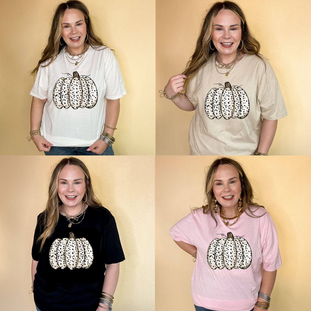Online Exclusive | Spotted Harvest Pumpkin Graphic Tee in Multiple Color Options