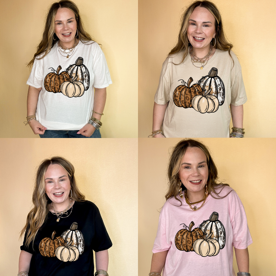 Online Exclusive | Trio Fall Variety Pumpkins Graphic Tee in Multiple Color Options