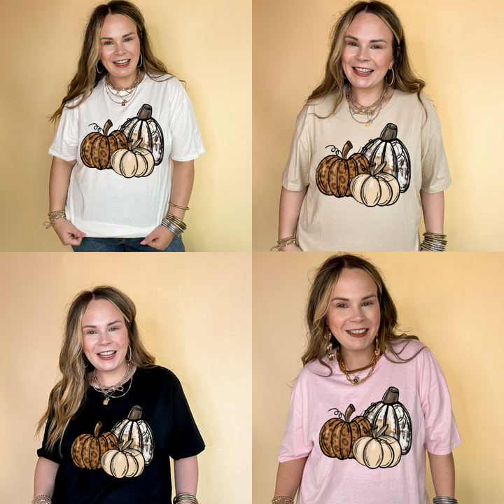Online Exclusive | Trio Fall Variety Pumpkins Graphic Tee in Multiple Color Options