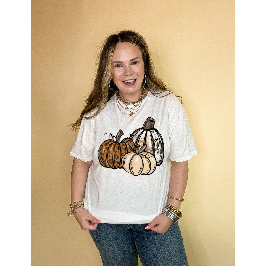 Online Exclusive | Trio Fall Variety Pumpkins Graphic Tee in Multiple Color Options