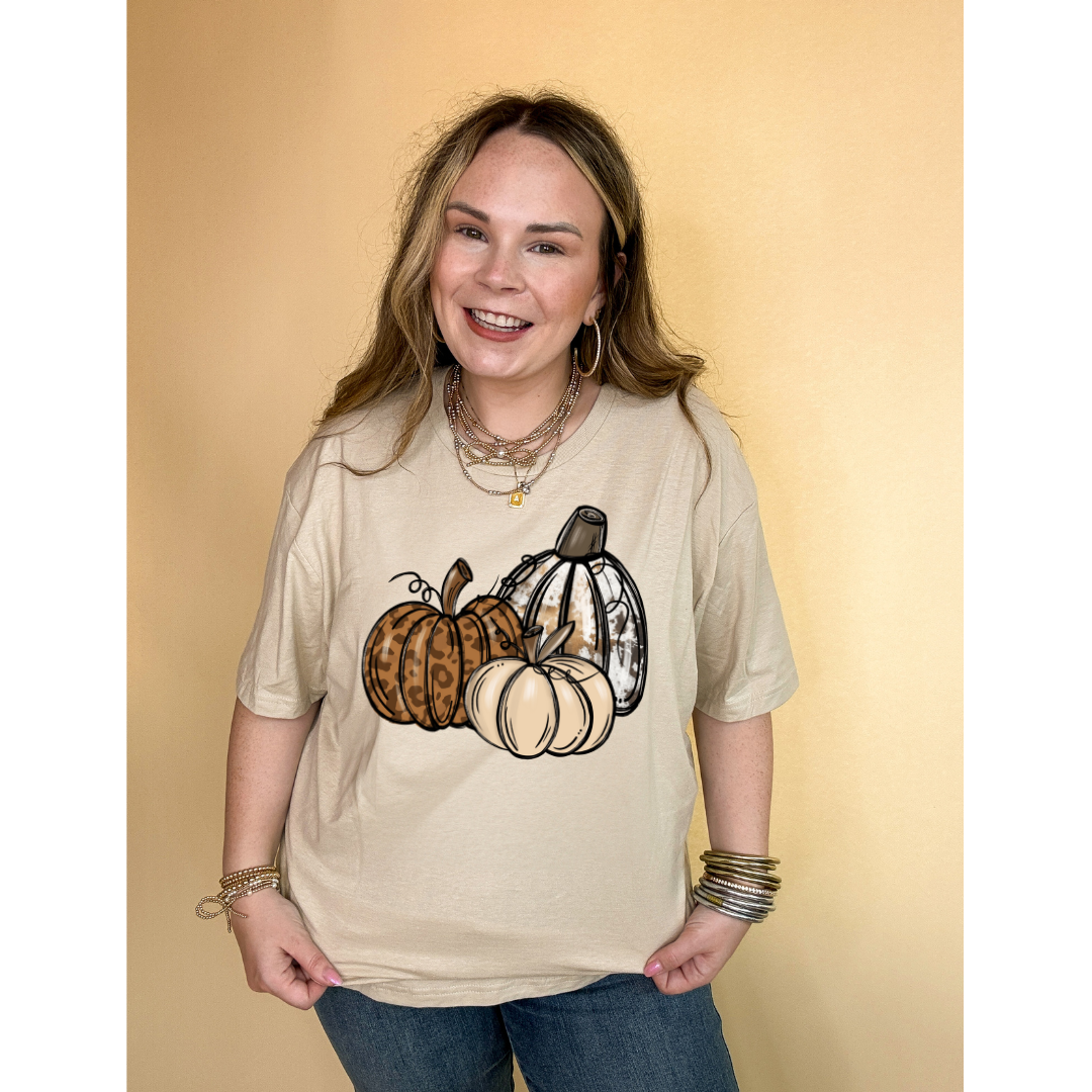 Online Exclusive | Trio Fall Variety Pumpkins Graphic Tee in Multiple Color Options