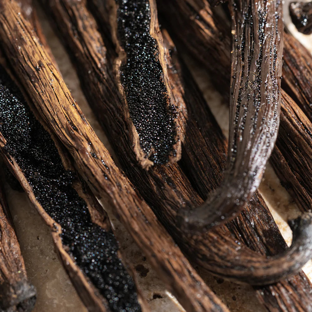 Pura | Fragrance Smart Vial for Smart Home Diffuser | Vanilla Chiffon - Giddy Up Glamour Boutique