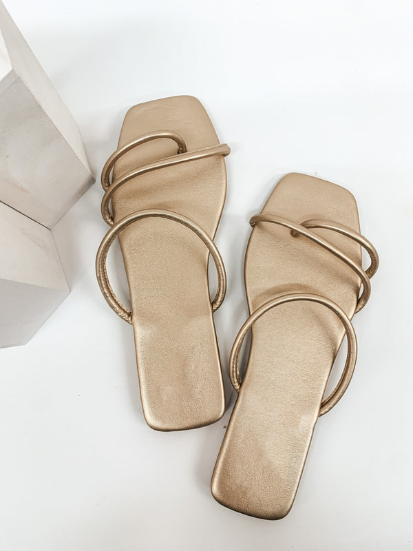 Strut Sis Strappy Square Toe Flat Sandals in Champagne