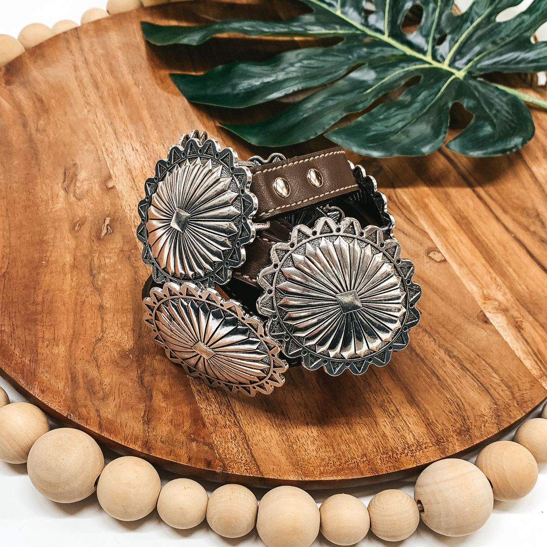 Save A Horse Silver Tone Concho Belt in Brown - Giddy Up Glamour Boutique