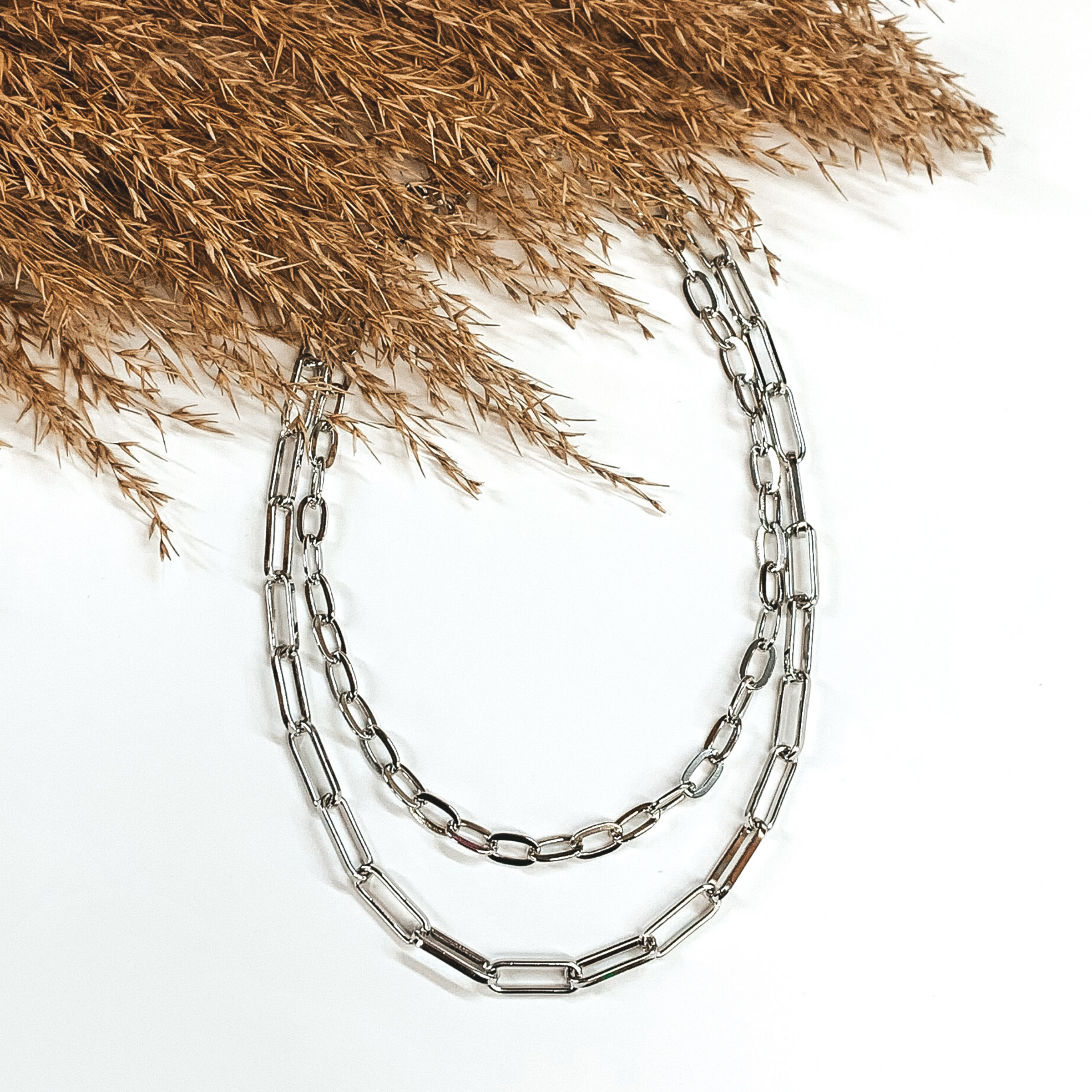 Double layered silver chain necklace. This necklace is pictured on a white background with tan floral at the top. 
