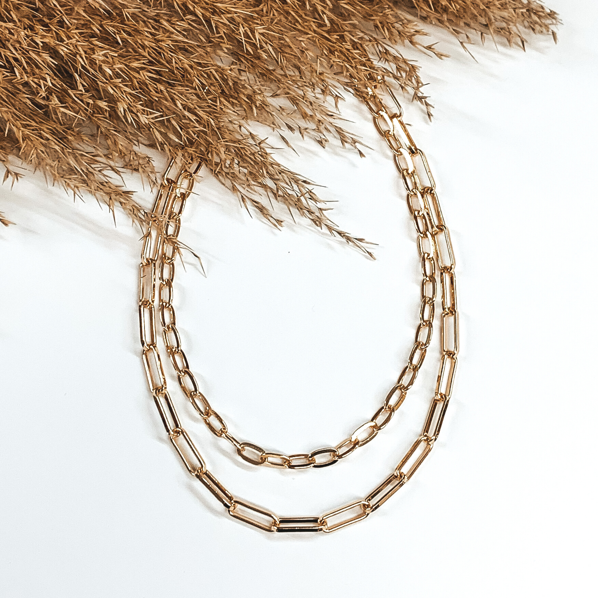 Double layered gold chain necklace. This necklace is pictured on a white background with tan floral at the top.