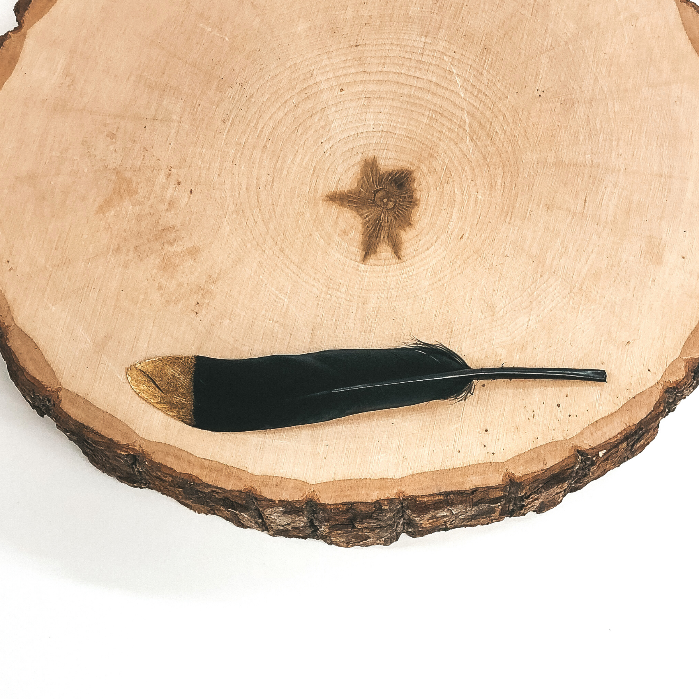 This is a black feather with a gold tip. This feather is pictured on a piece of wood on a white background. 