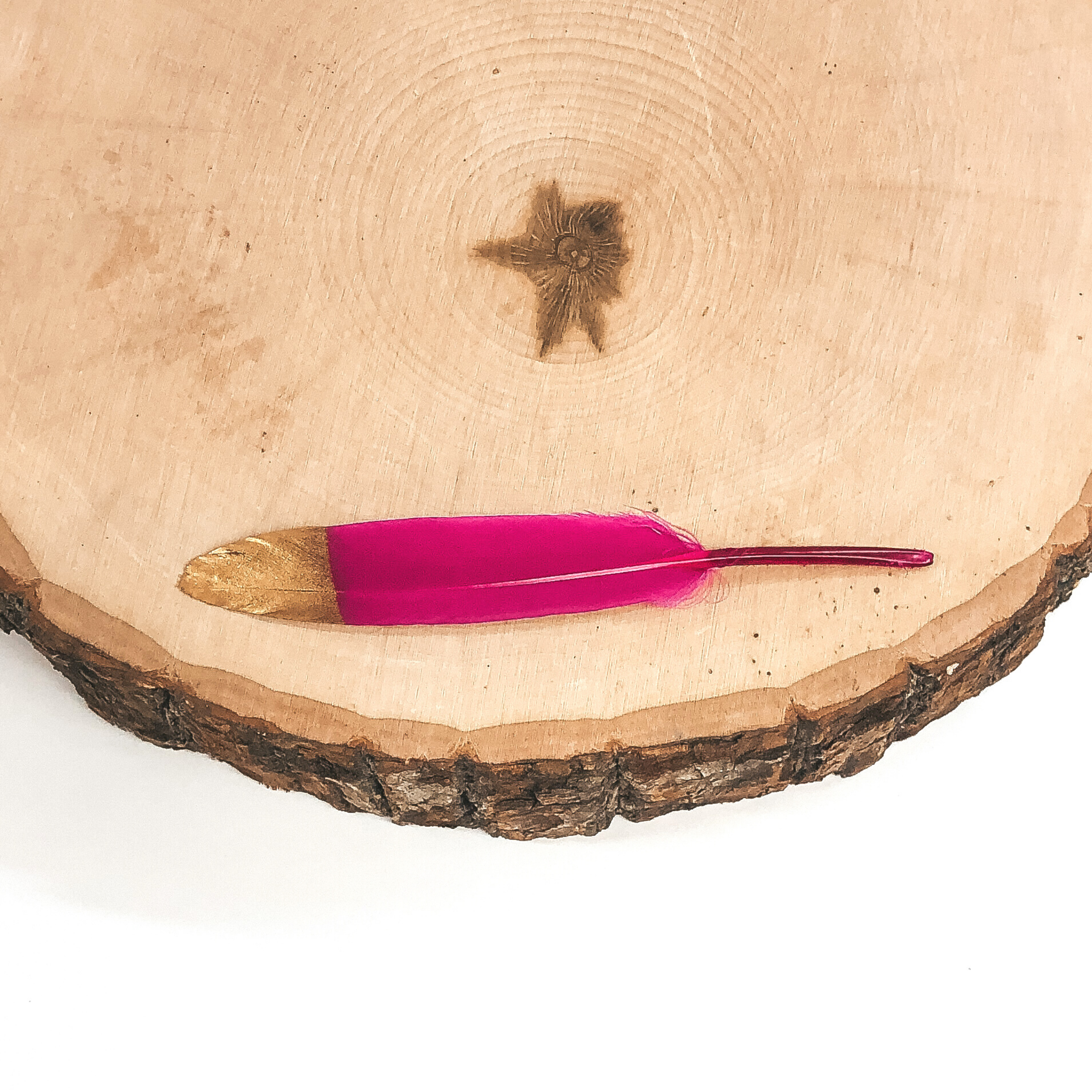 This is a fuchsia colored feather with a gold tip. This feather is pictured on a piece of wood on a white background. 