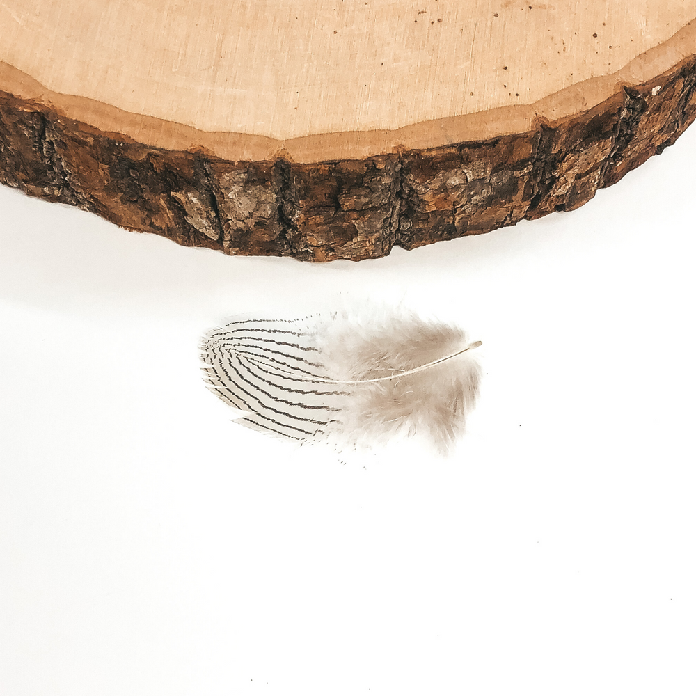 Surprise Mini Feathers - Giddy Up Glamour Boutique