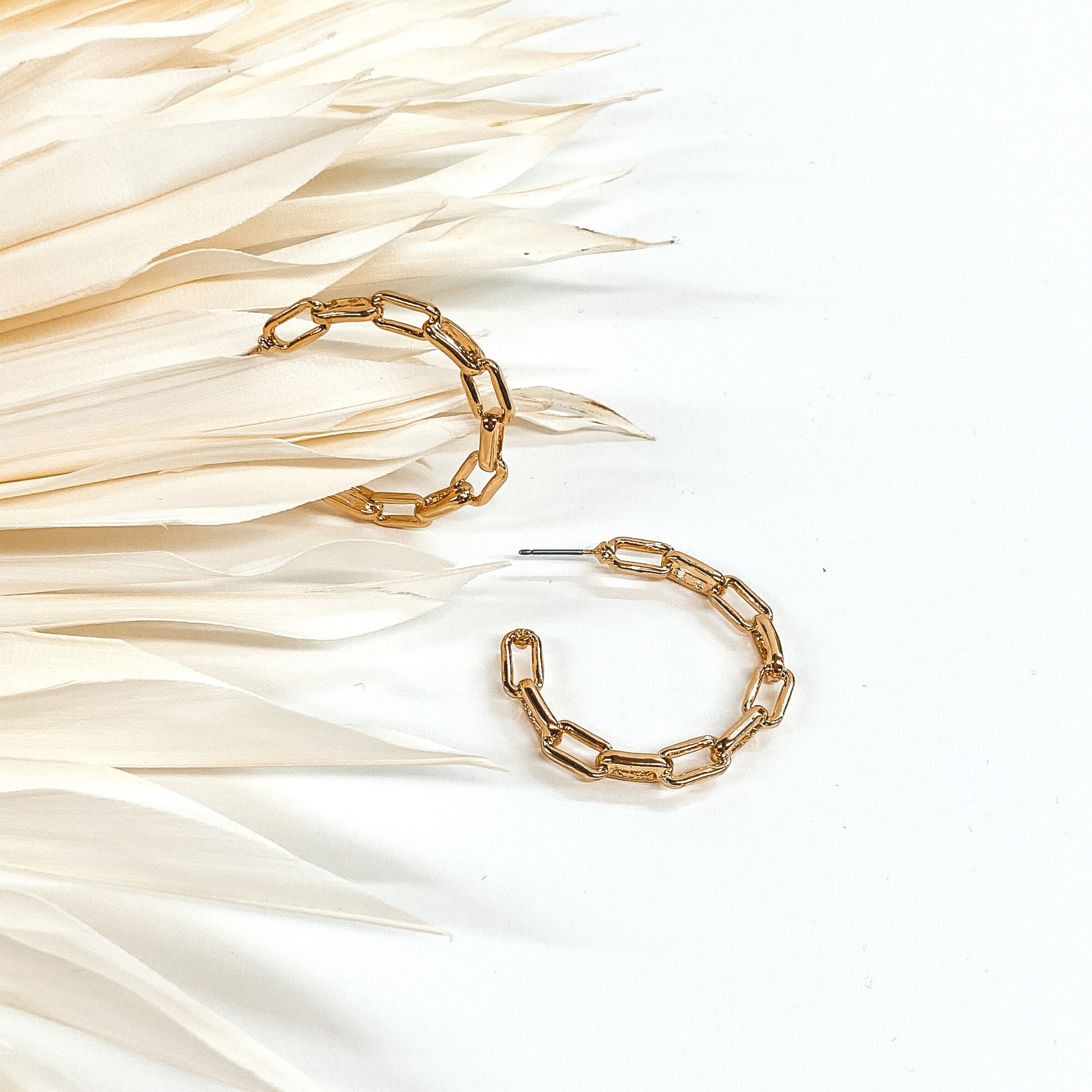 These are a gold paperclip chain hoop earrings. These earrings are pictured on a white background with white palm leaves.